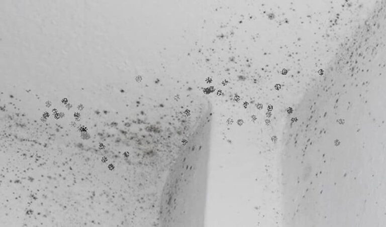 Μούχλα στο ταβάνι του μπάνιου
